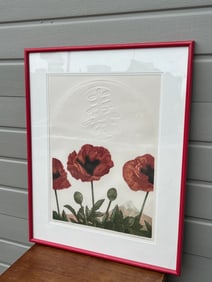Colored Etching J Whiteman Parker Papaver Orientale Poppy