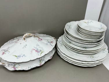 Haviland Limoges Porcelain Dish Set Plates Bowls Tureen