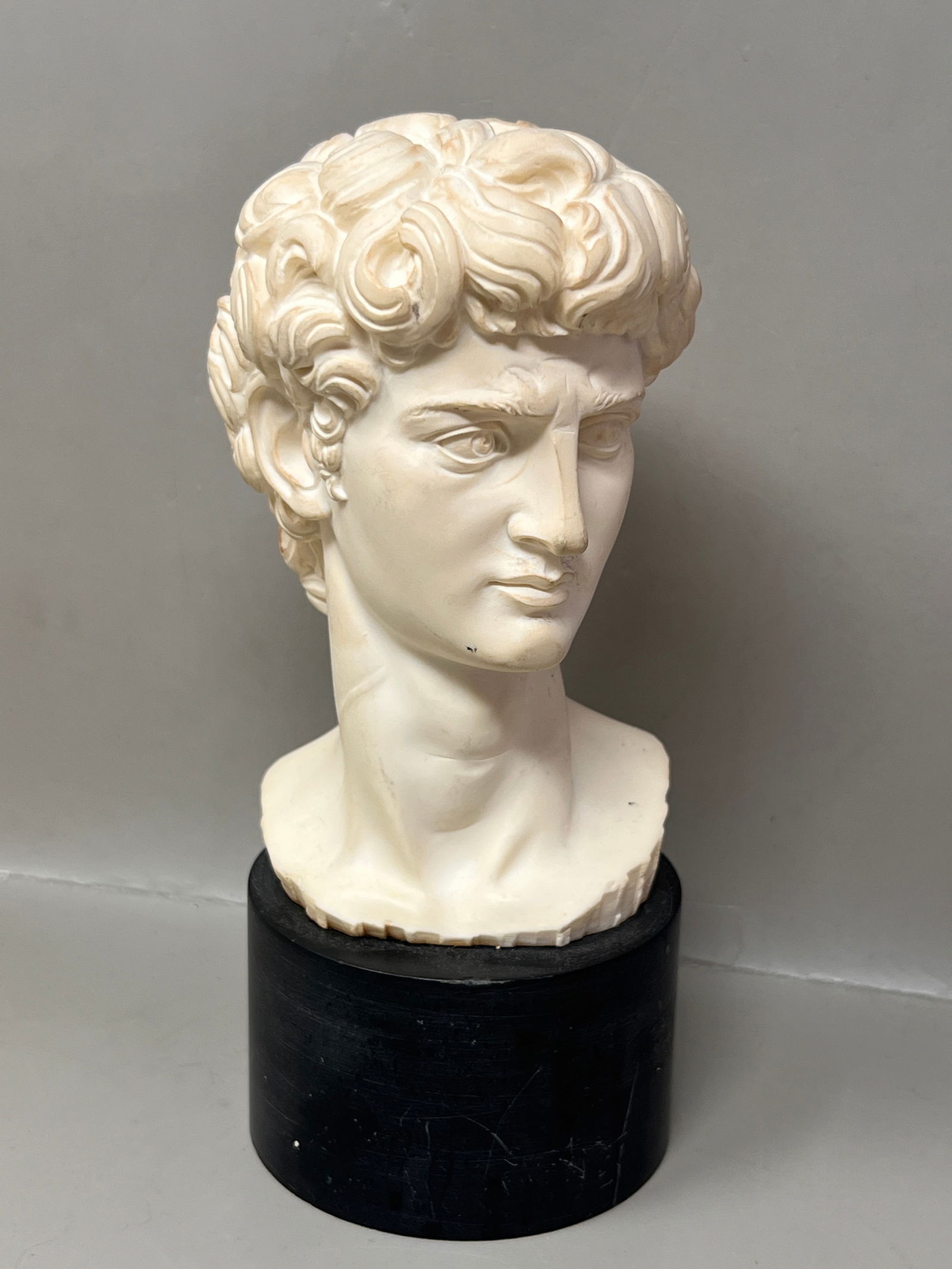Decorative Bust of Michelangelo's David: Resin on Marble Stand