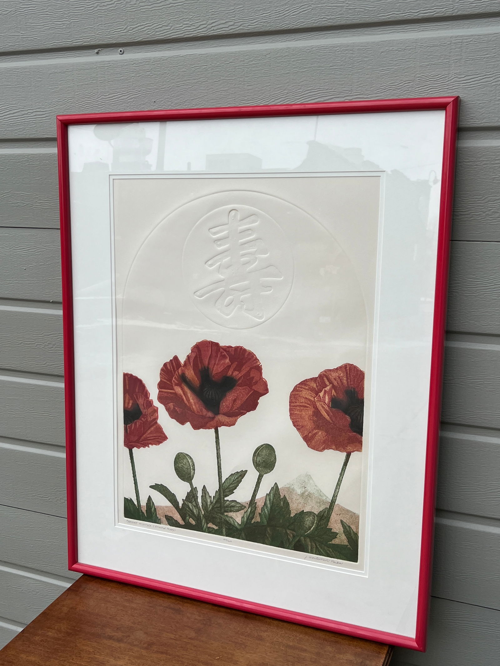 Colored Etching J Whiteman Parker Papaver Orientale Poppy: stunning piece, pencil signed