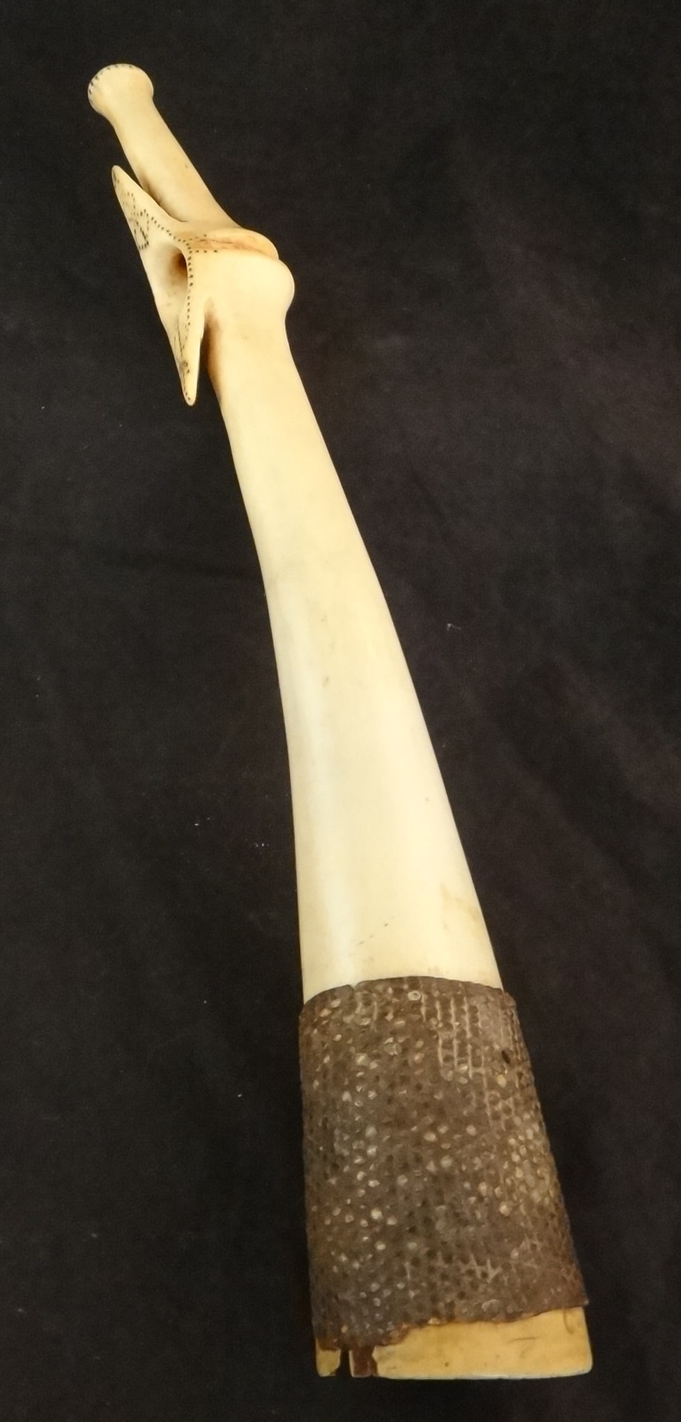 Antique/Vintage African Tusk Oliphant: Antique/Vintage African Tusk Oliphant with snake skin band. 14" long x 2" widest diameter