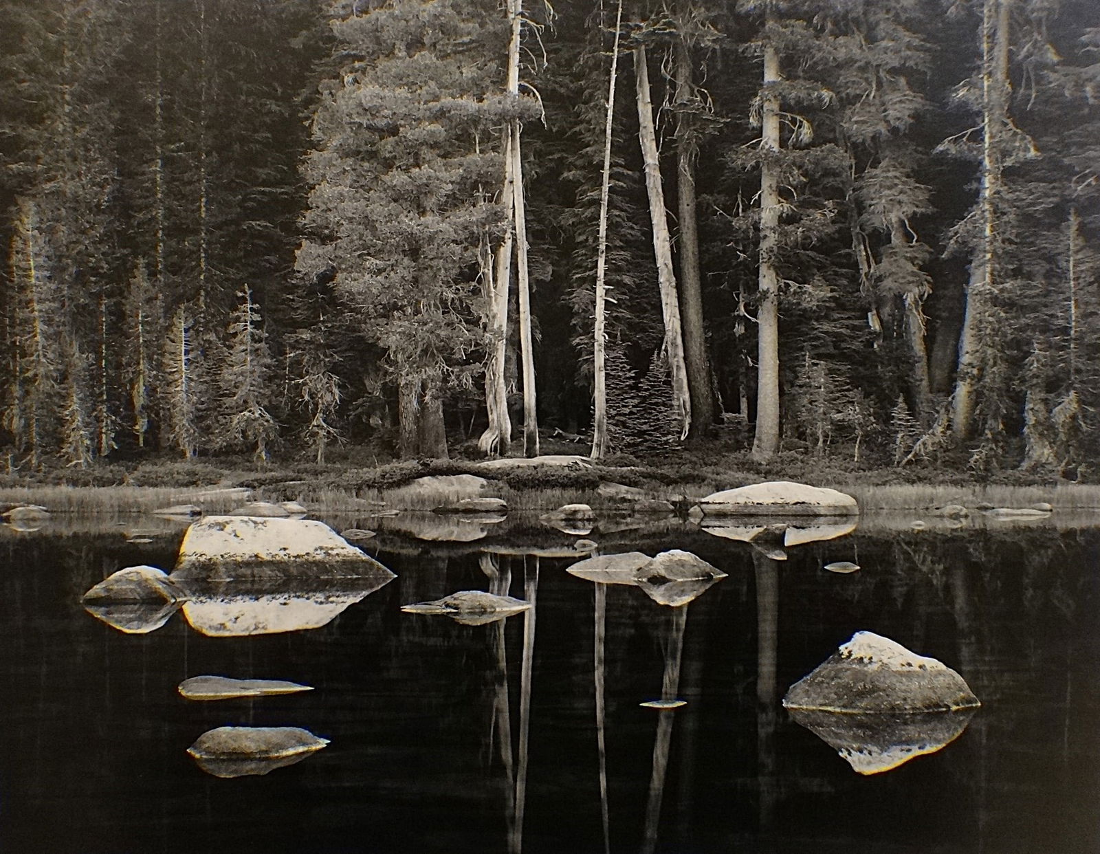 John Sexton B&W Photograph: White Boulders and Forest at Dawn.: John Sexton Black & White Photograph: White Boulders and Forest at Dawn. Yosemite National Forest, California, 2003. Pencil signed and dated 2003. Tag on back with title & produced in 2012. Photo