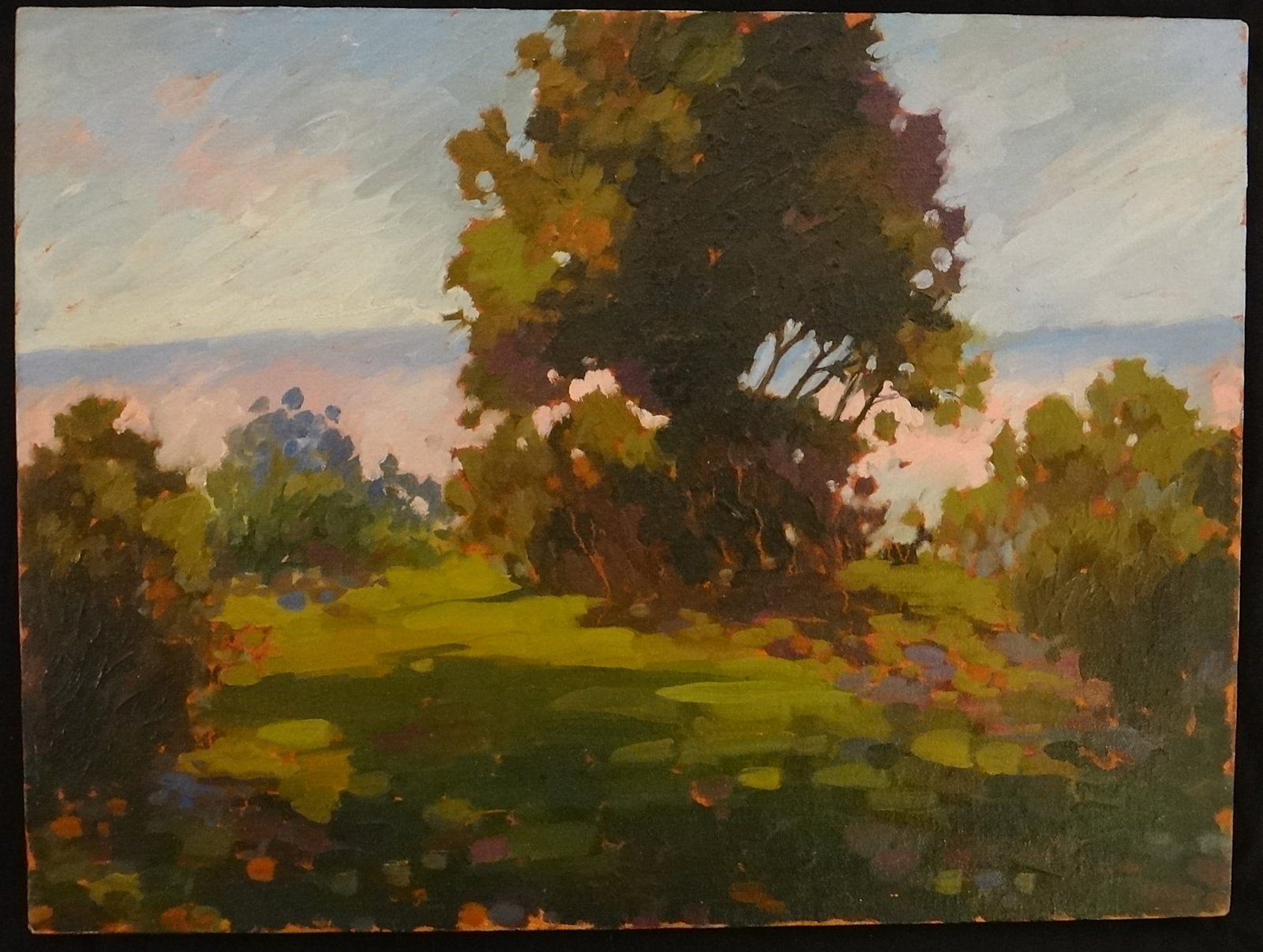 Brenda Morrison Acrylic on Canvas of a Beautiful CA Landscape (1 of 5)