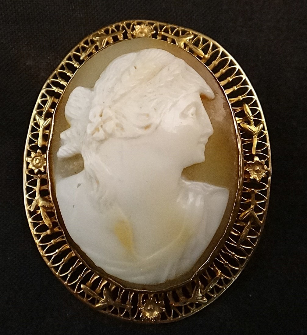 Victoria Era 10k Gold Framed Carved Shell Cameo Brooch. (1 of 3)