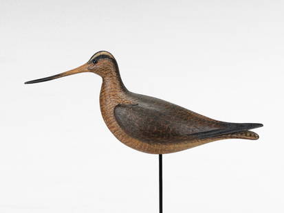 Hudsonian Curlew - David Ward: David B. Ward (1947-2020) - Essex, CT c.2000's -18.25" long - Bold and large Hudsonian curlew decoy. Hollow carved with phenomenal sculpture and paint application. The head is turned slightly off to t