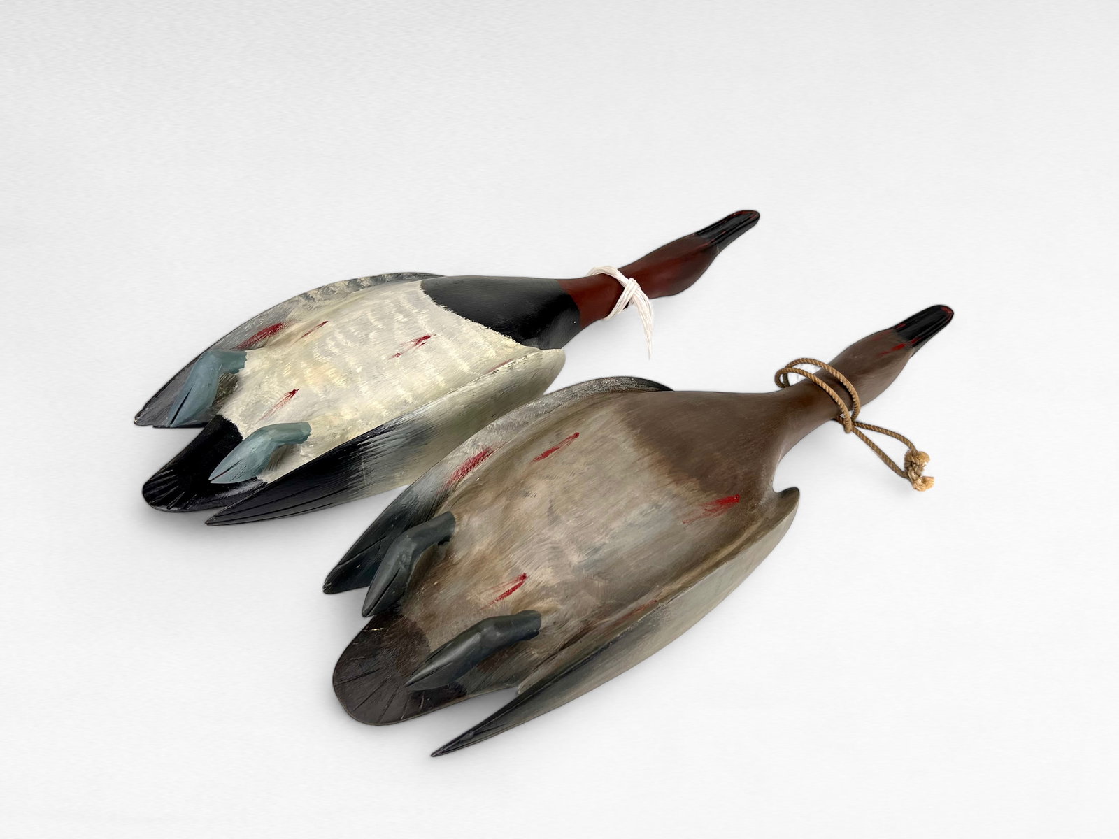 Dead Hanging Canvasback Pair - Allen Purner (1 of 3)