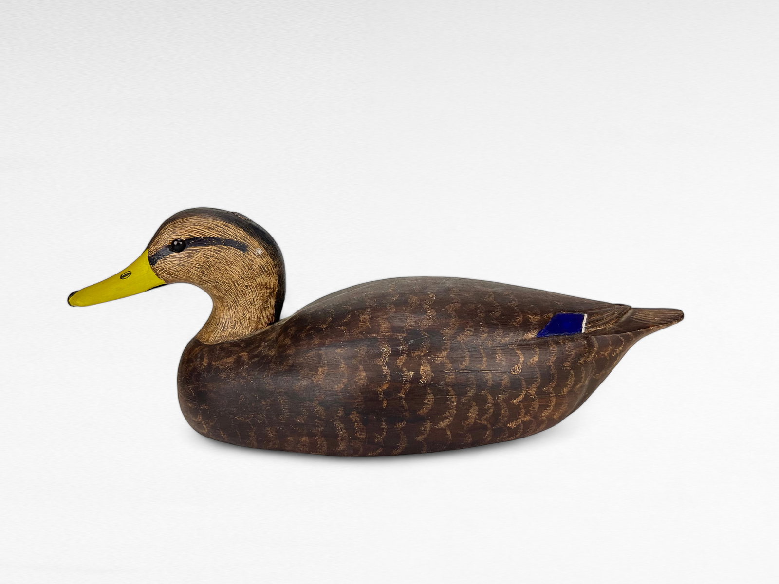 Black Duck Hen - Herb Daisey (1 of 4)