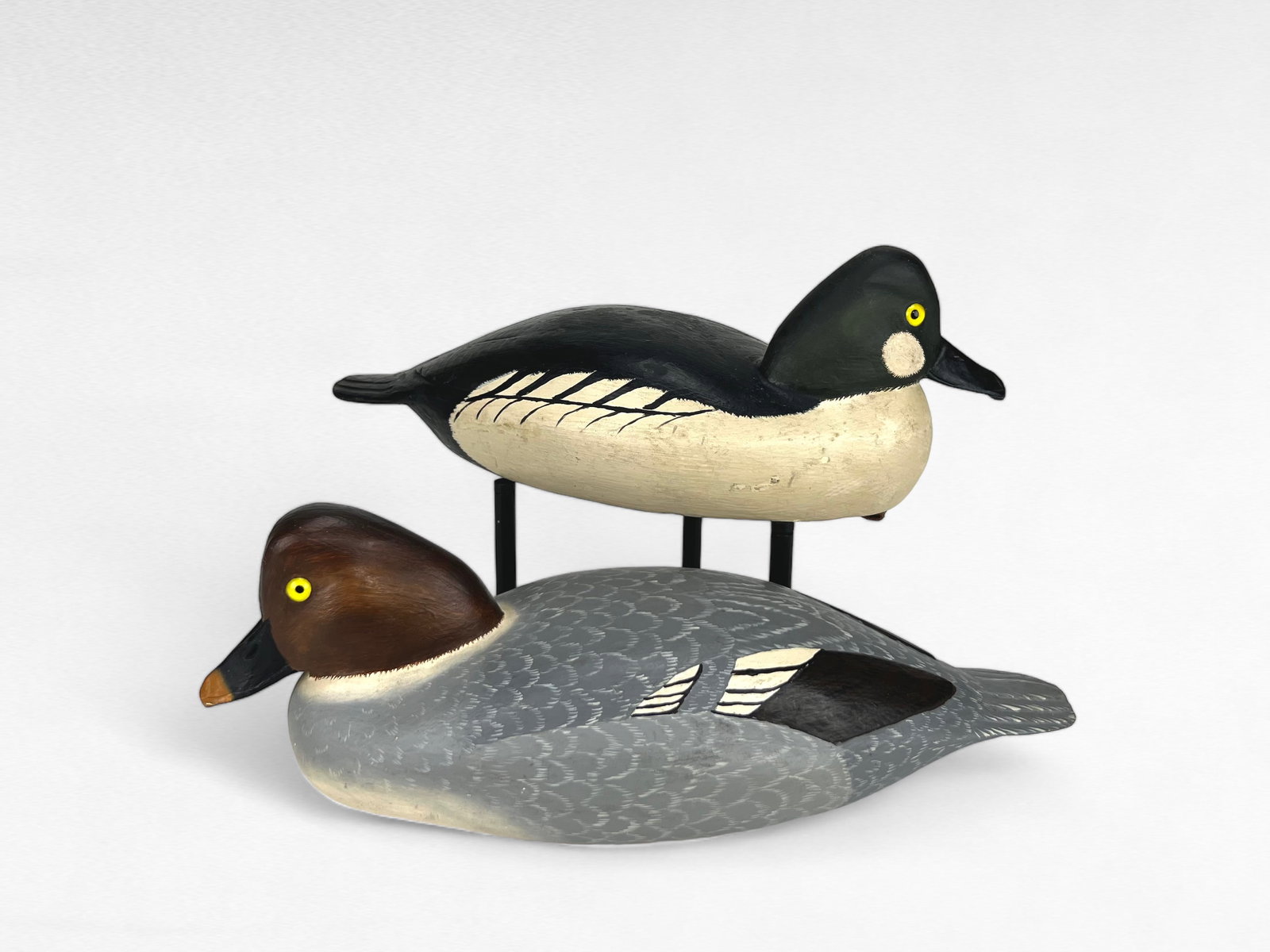 Goldeneye Pair - Ron Sabatini (1 of 4)