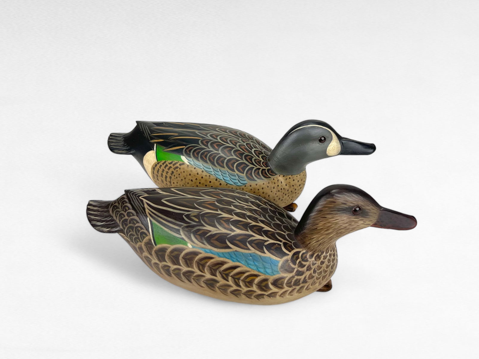 Swimming Blue-winged Teal Pair - Forest Jennings (1 of 5)