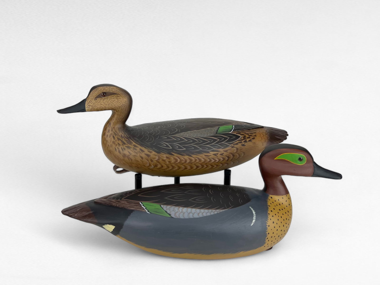 Green-winged Teal Pair - Drew Morrone (1 of 3)