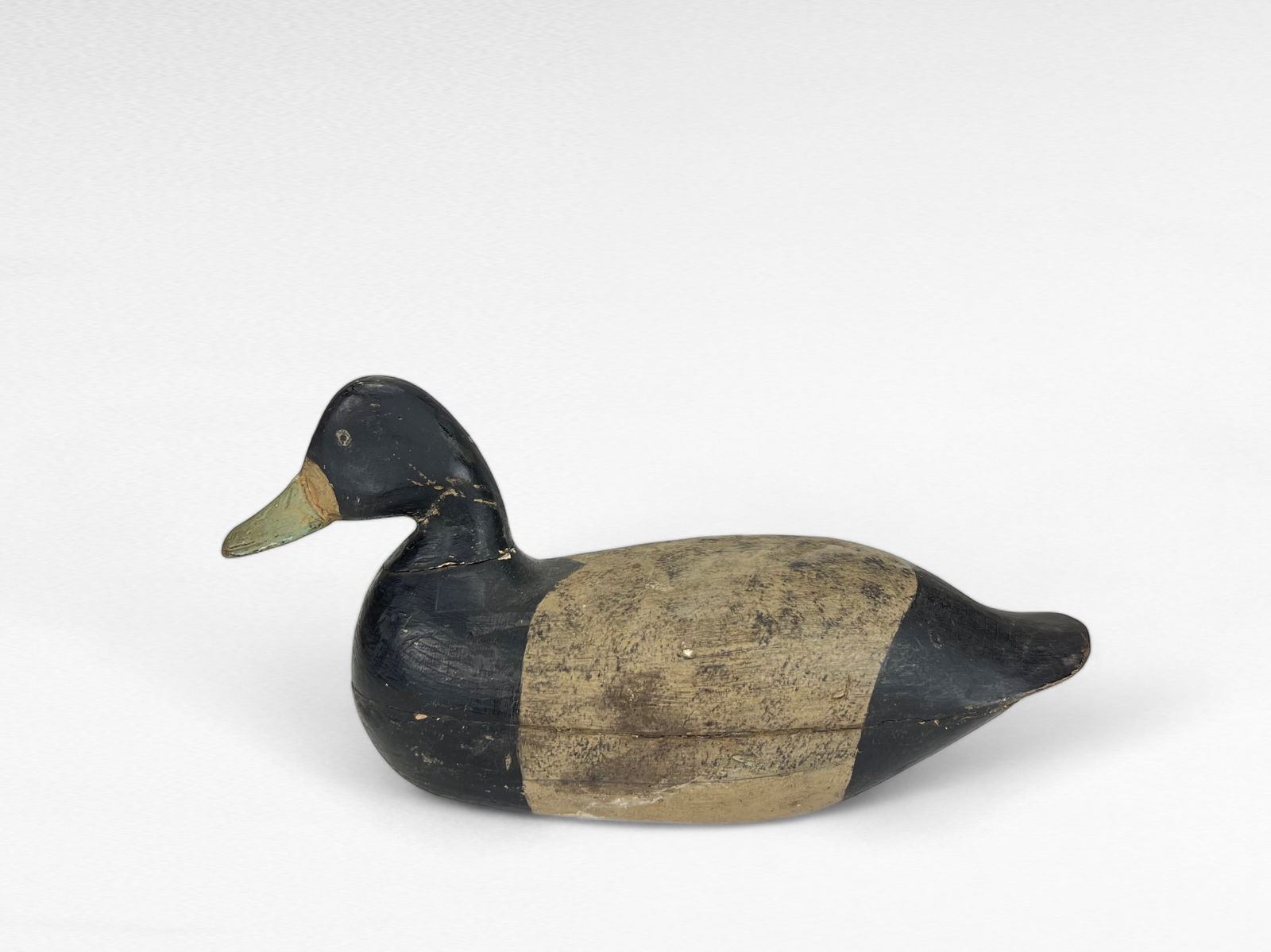 Bluebill Hen - Mark Kears, NJ (1 of 4)