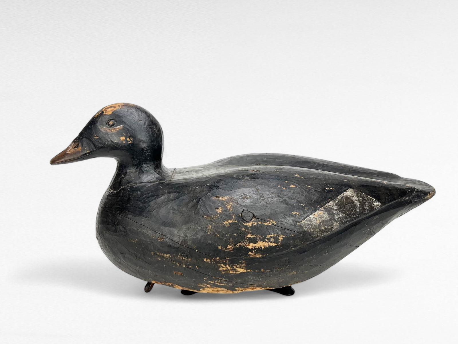 Hollow White Wing Scoter - Gus Wilson (1 of 5)