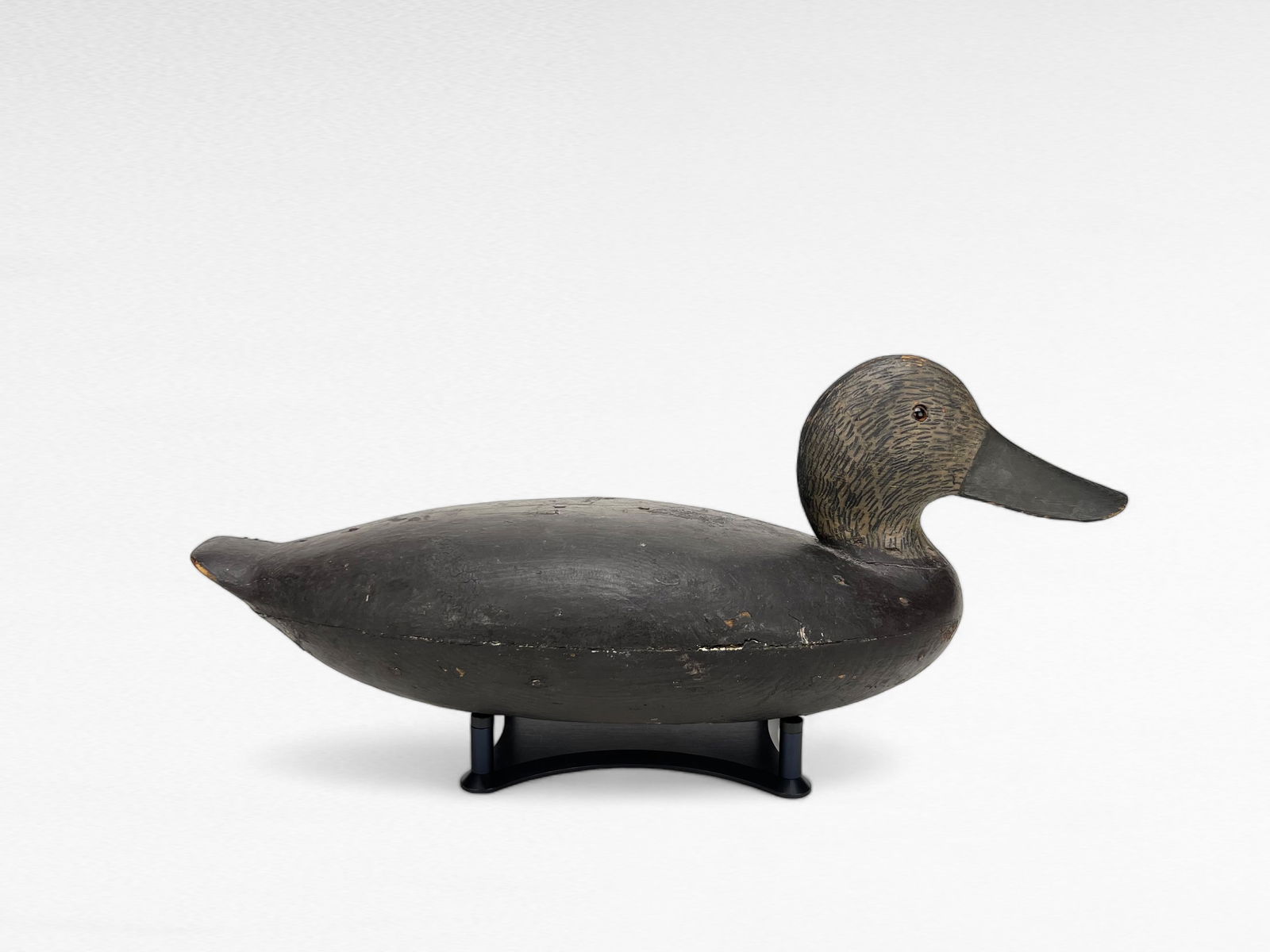 Black Duck - Howard Hoatley (1 of 6)