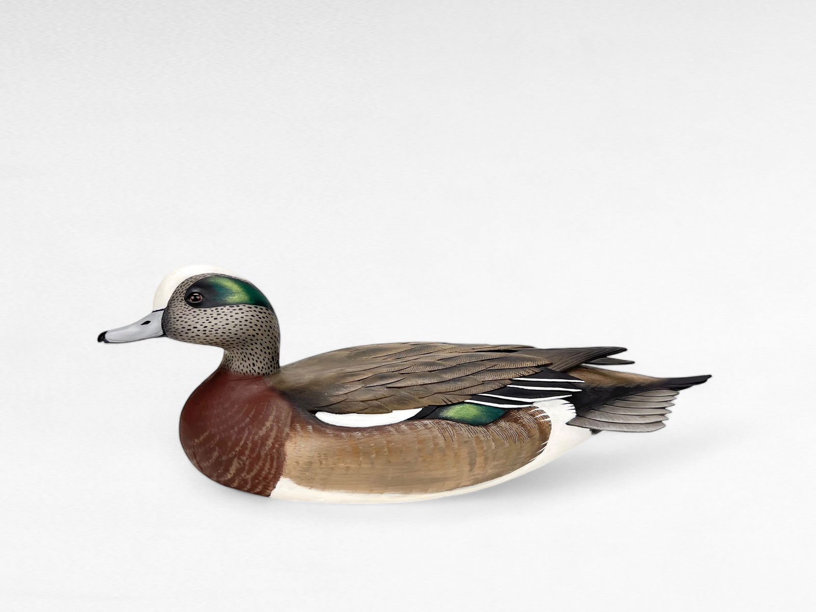 Widgeon Drake - Jim Schmiedlin (1 of 9)