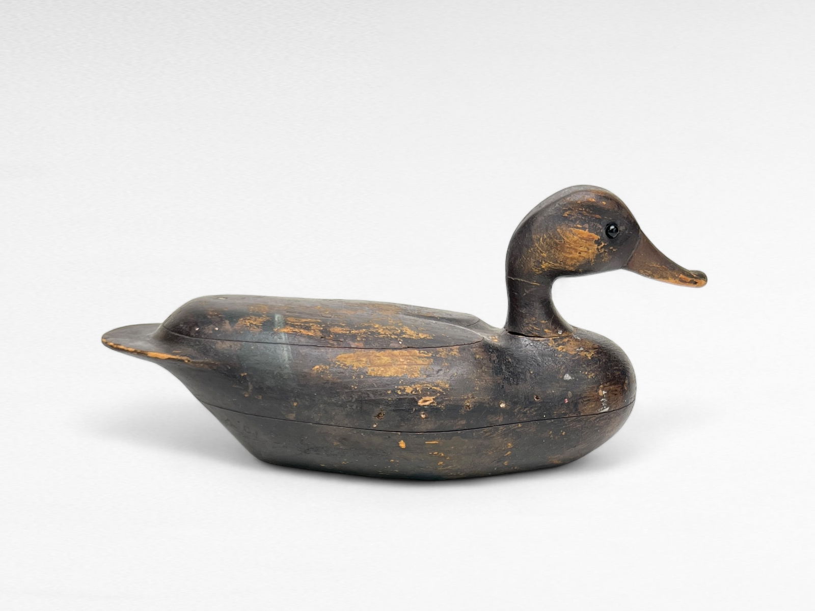 Black Duck - Unknown, PA (1 of 6)