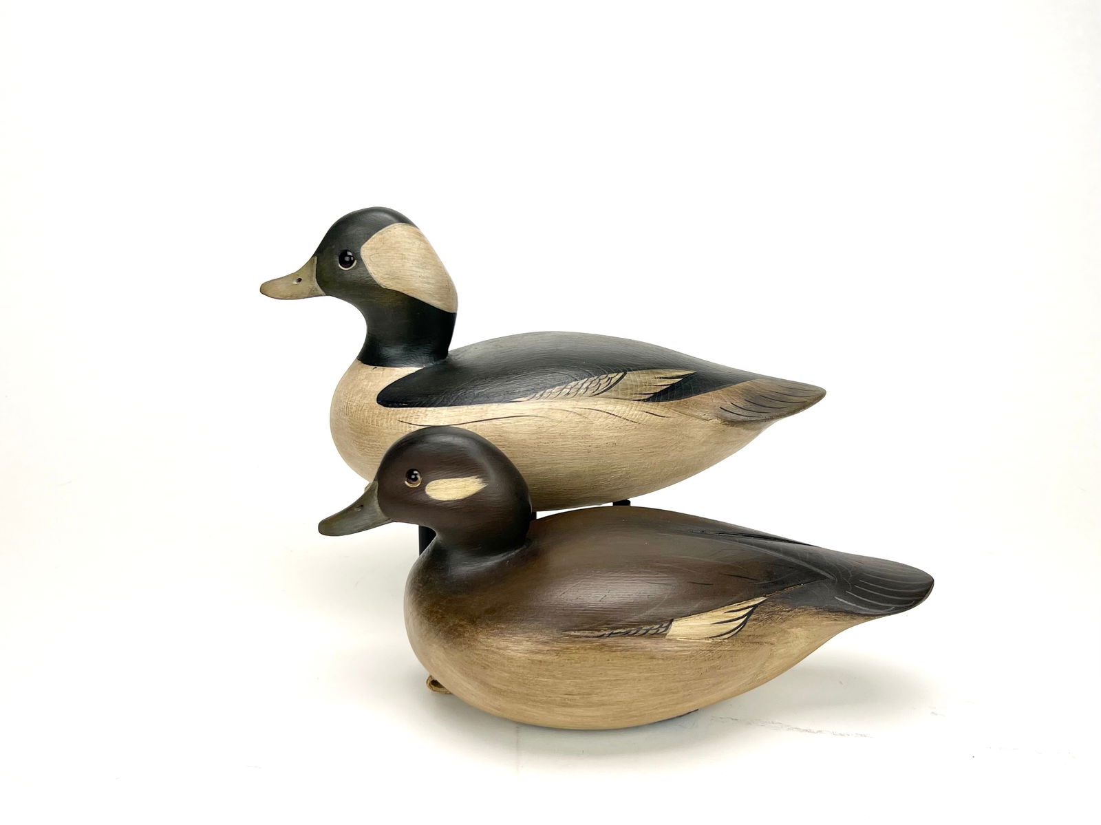 Bufflehead Pair - Sean Sutton (1 of 5)