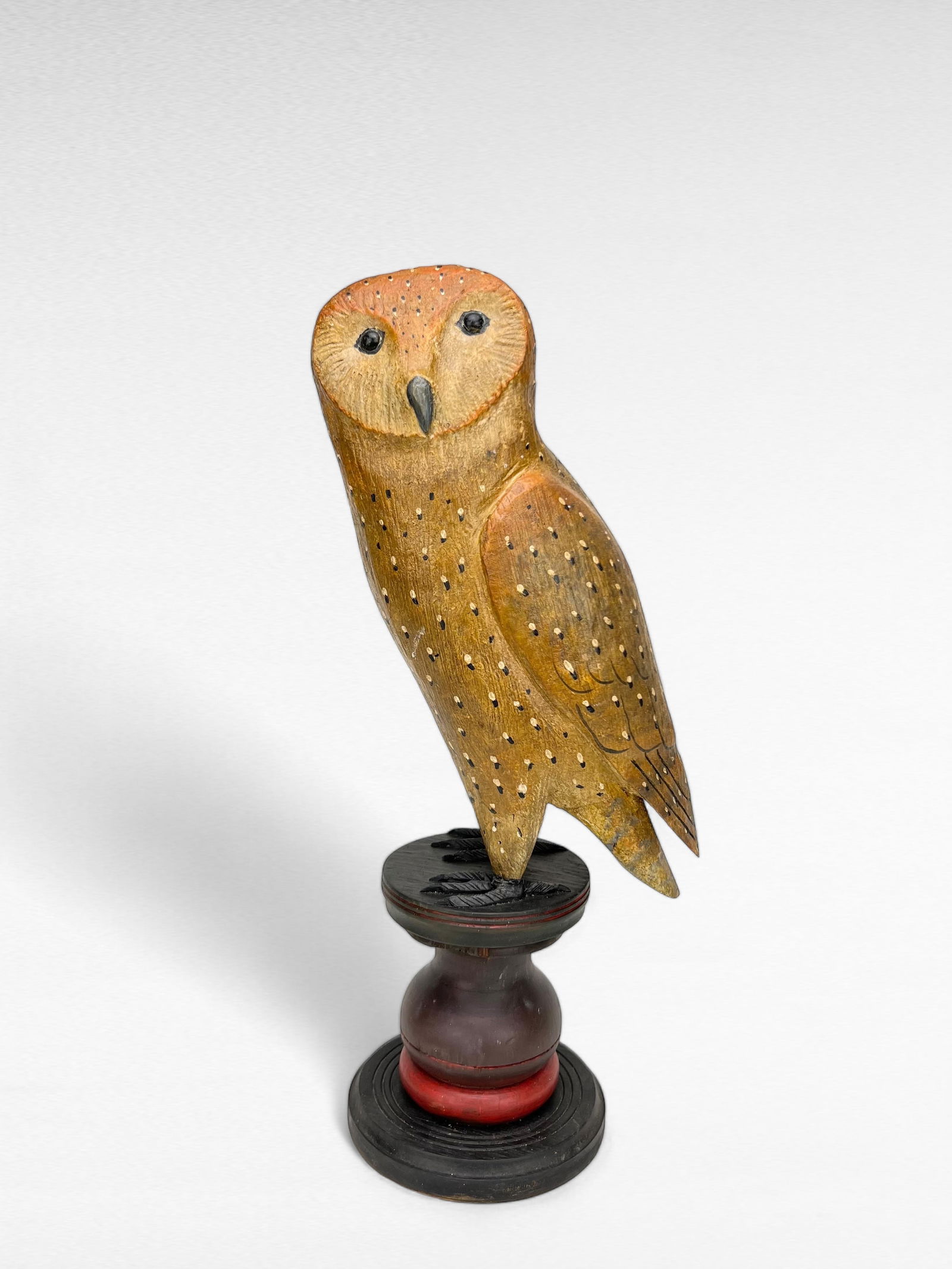 Barn Owl - Ken Kirby (1 of 5)