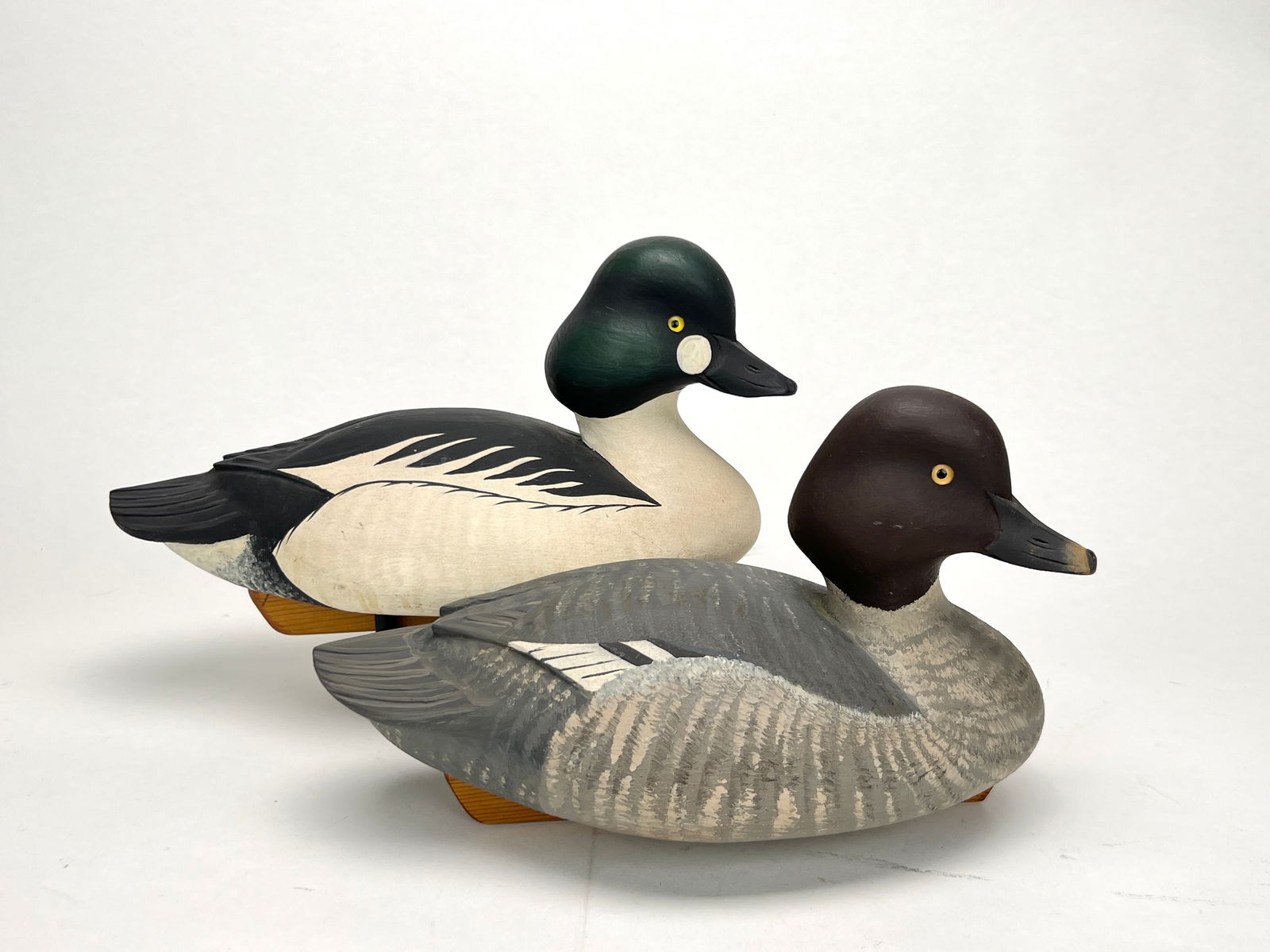 Goldeneye Pair - Marv Meyer (1 of 5)