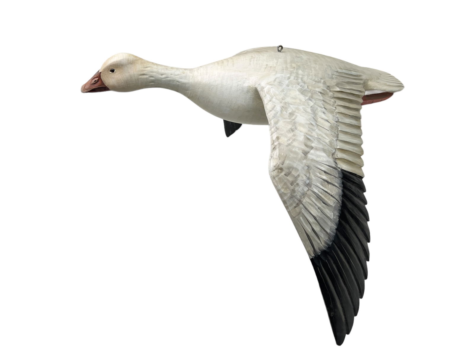 Flying Snow Goose - Mike Borrett (1 of 9)