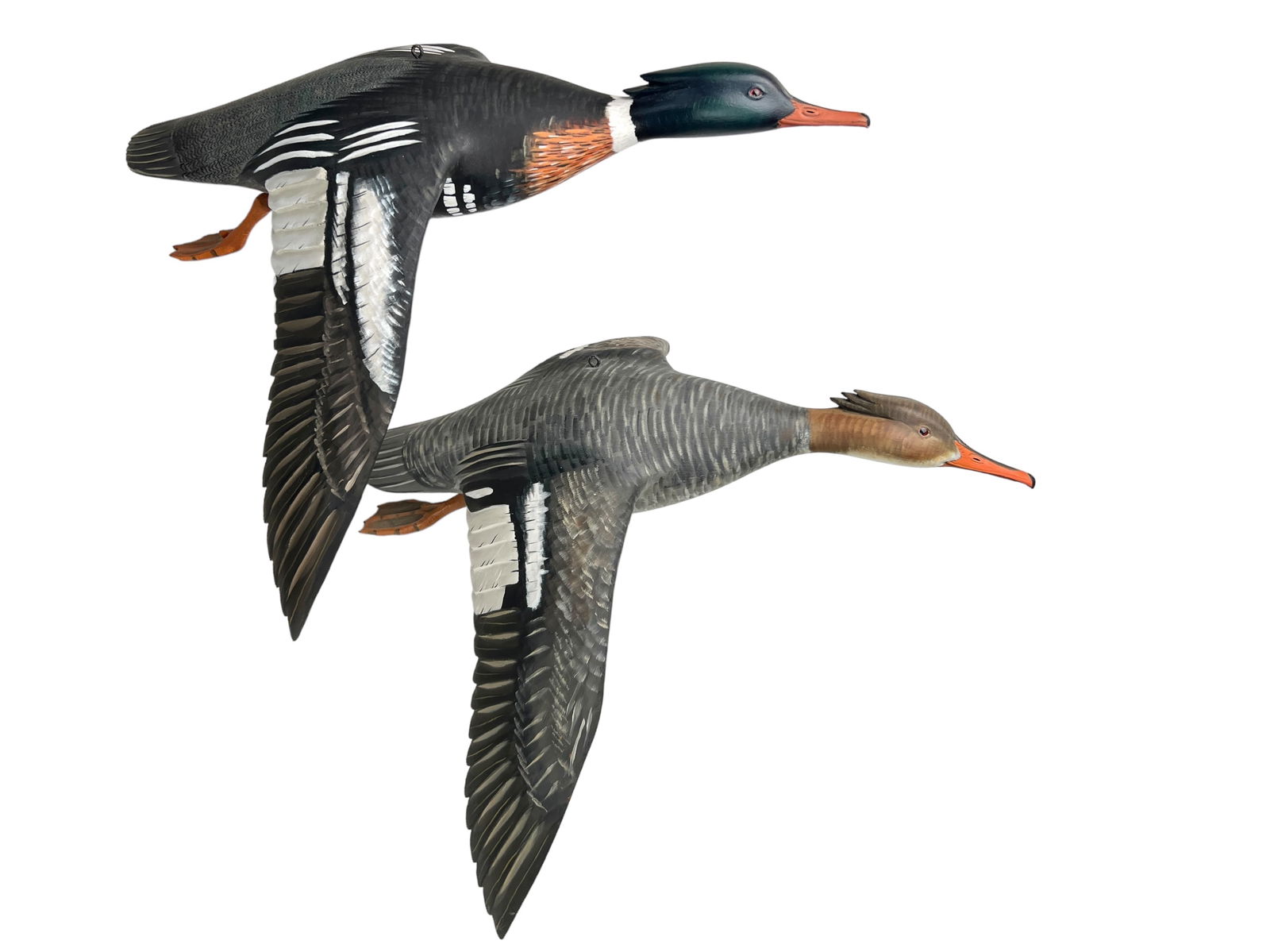 Flying Red-breasted Merganser Pair - Mike Borrett (1 of 13)