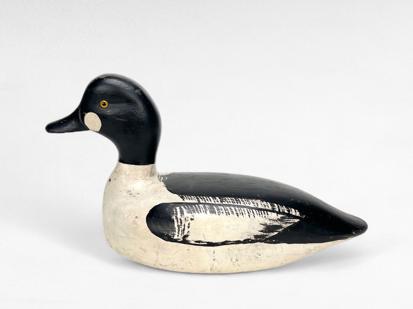 Goldeneye Drake - Frank Coombs (1 of 5)