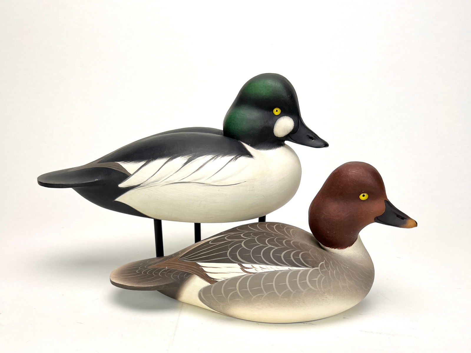 Goldeneye Pair - Leo McIntosh (1 of 5)