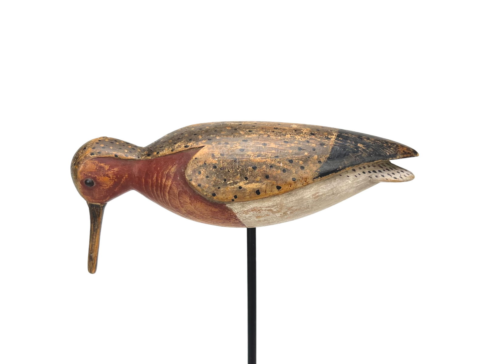 Feeding Redknot - Mark McNair (1 of 5)