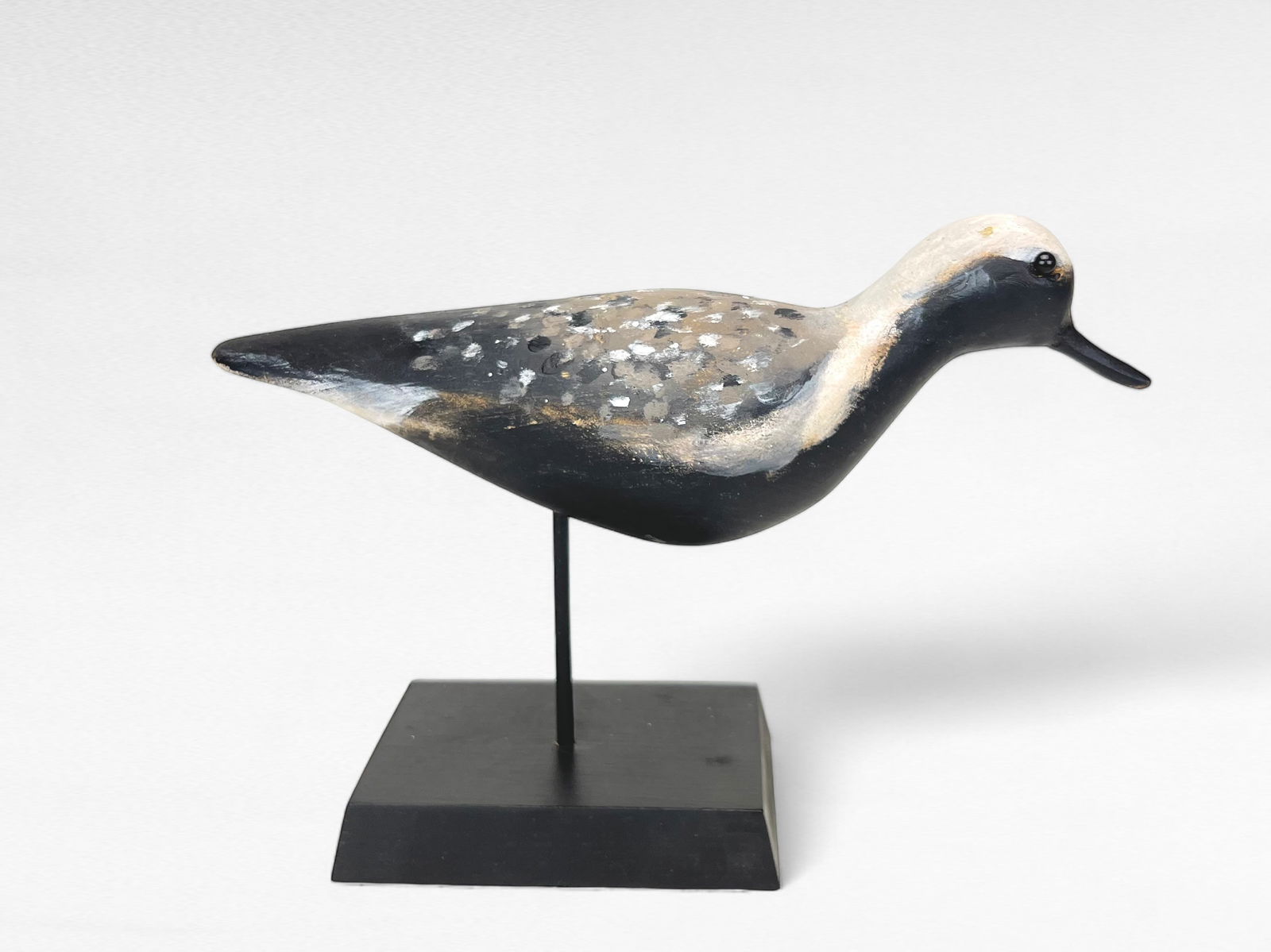 Running Black Bellied Plover - Pete Peterson (1 of 4)