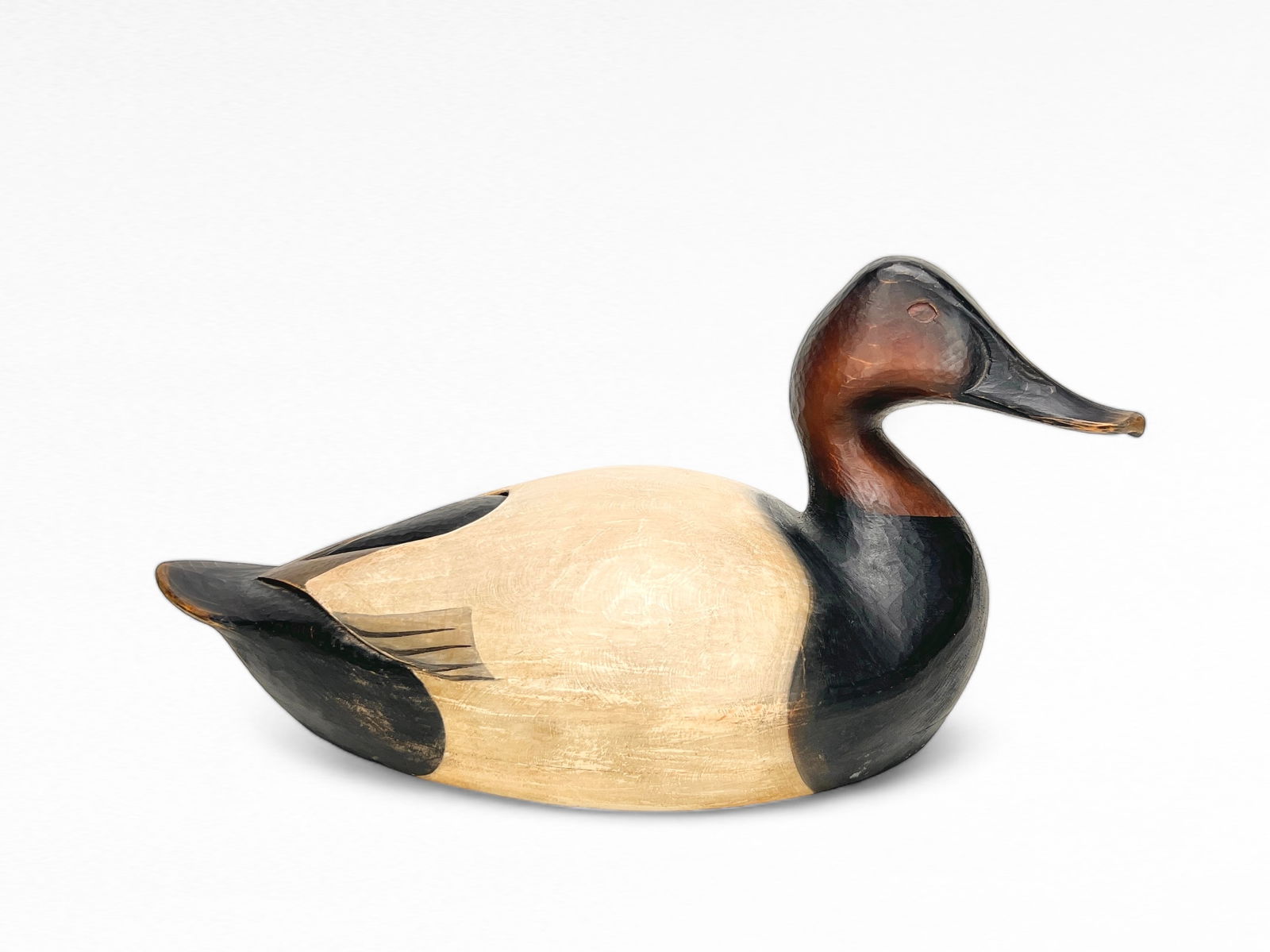 Canvasback Drake - Josh Brewer (1 of 5)