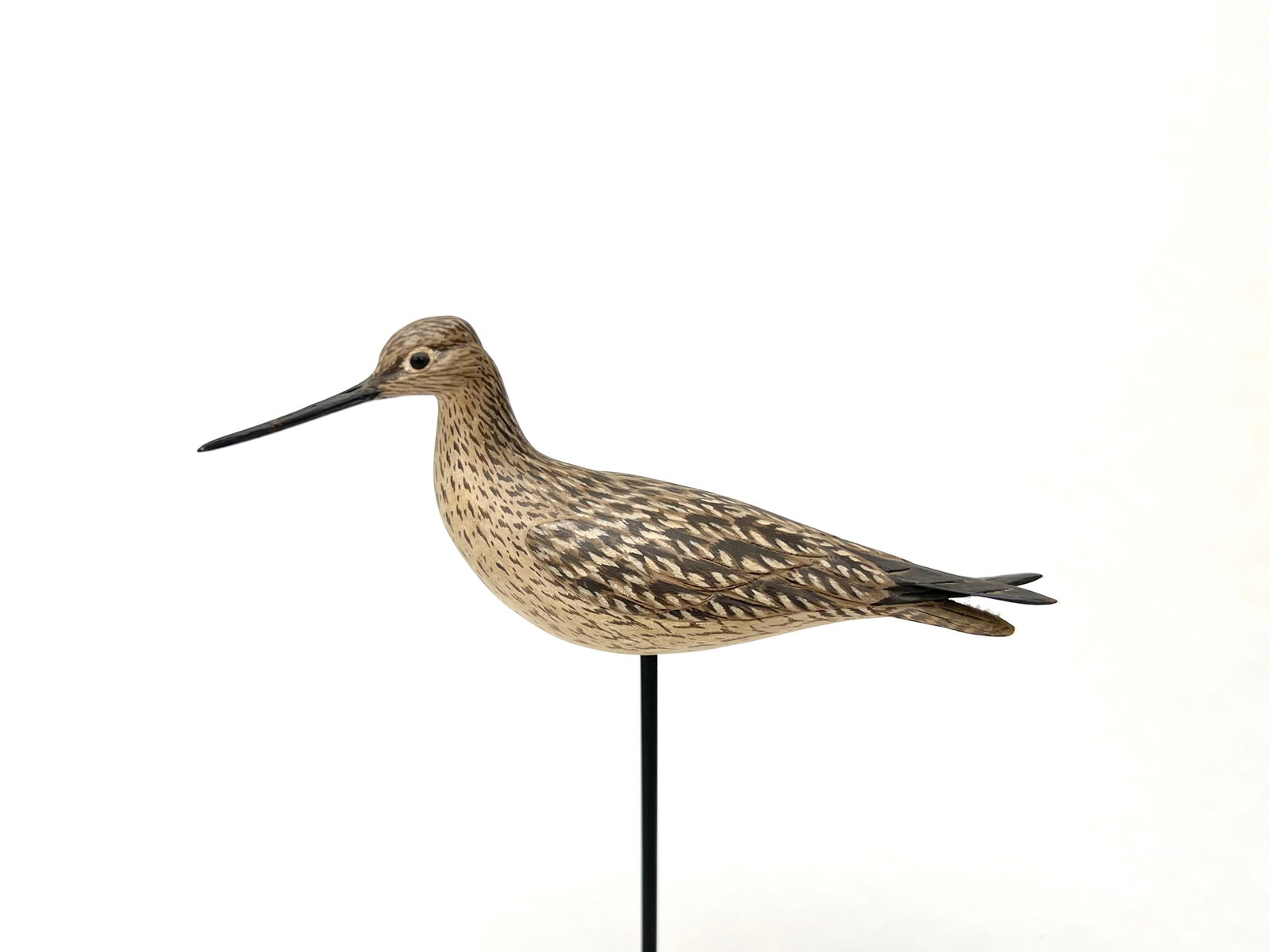 Miniature Willet - Eddie Wozny: Eddie Wozny (b. 1959)Cambridge, MD c.20105.5" long | 7" tall on standBest known for his stunning attention to detail in his miniature carvings, his shorebirds continue to represent that ability. The b