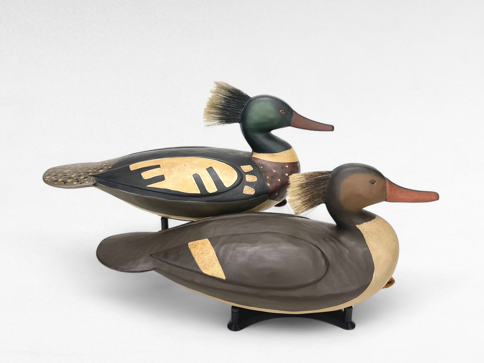 Red-breasted Merganser Pair - Mark Finisecy (1 of 7)