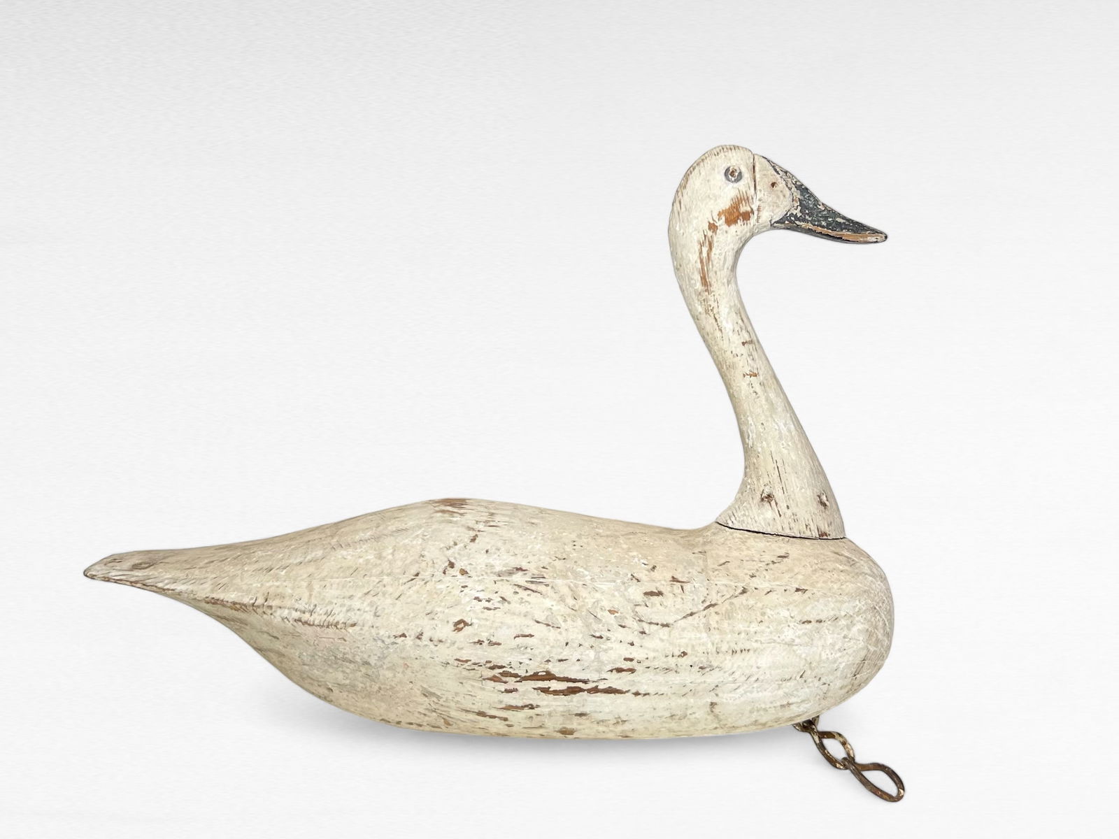 Grand Swan - Frank Finney (1 of 5)