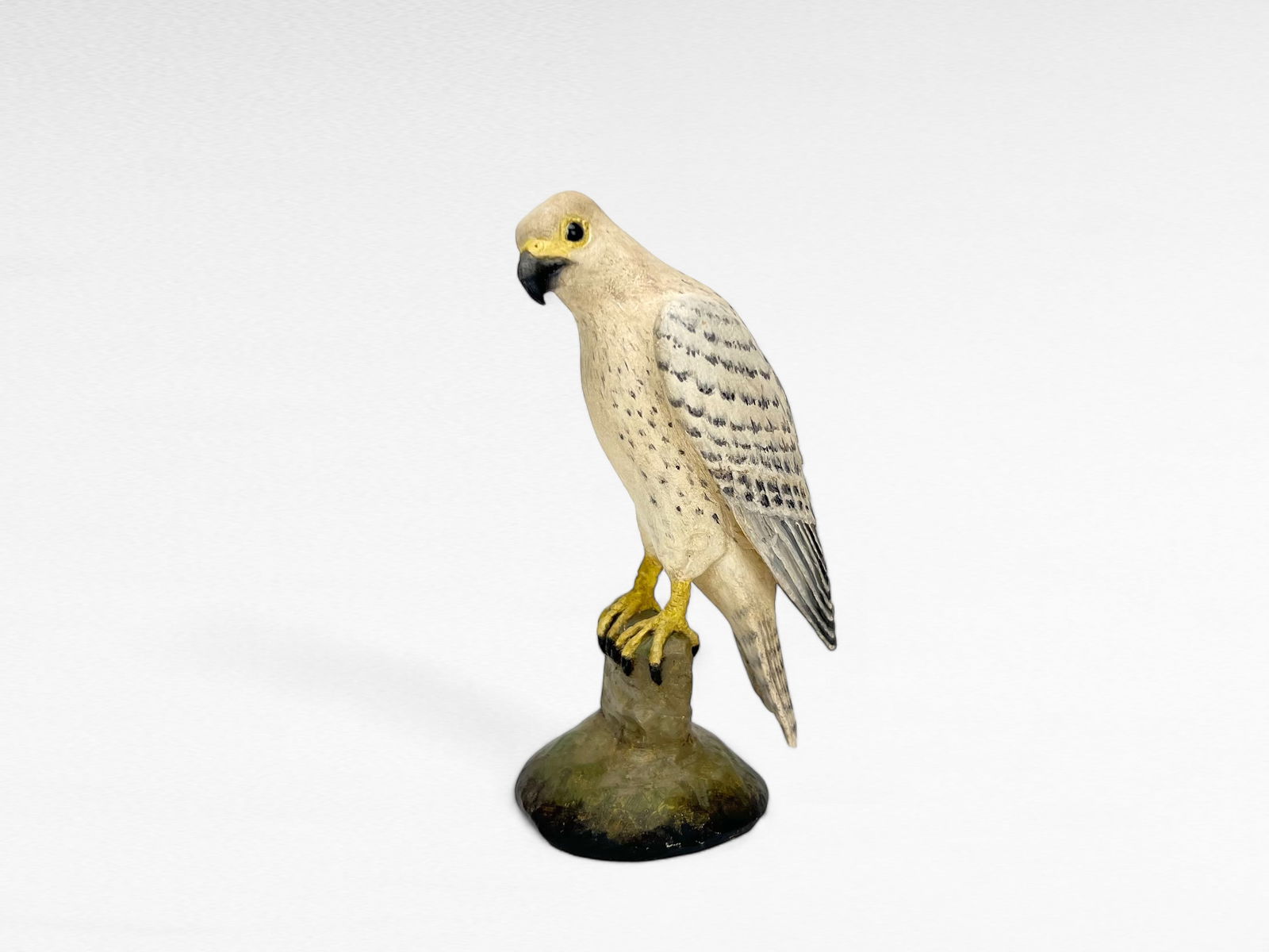 Miniature Gyrfalcon - Frank Finney (1 of 7)