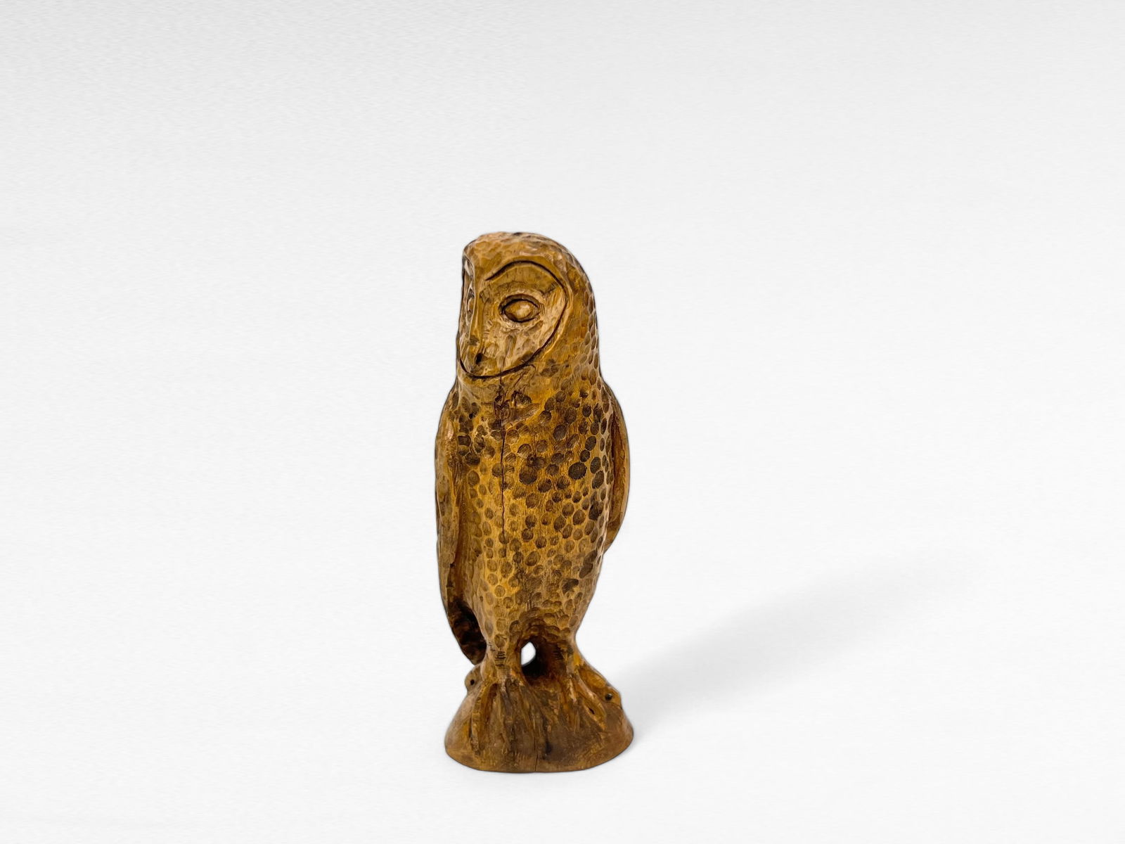 Miniature Barn Owl - Frank Finney (1 of 5)