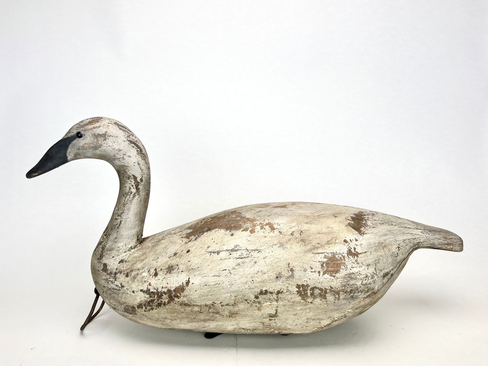 Swan - Reggie Birch (1 of 6)