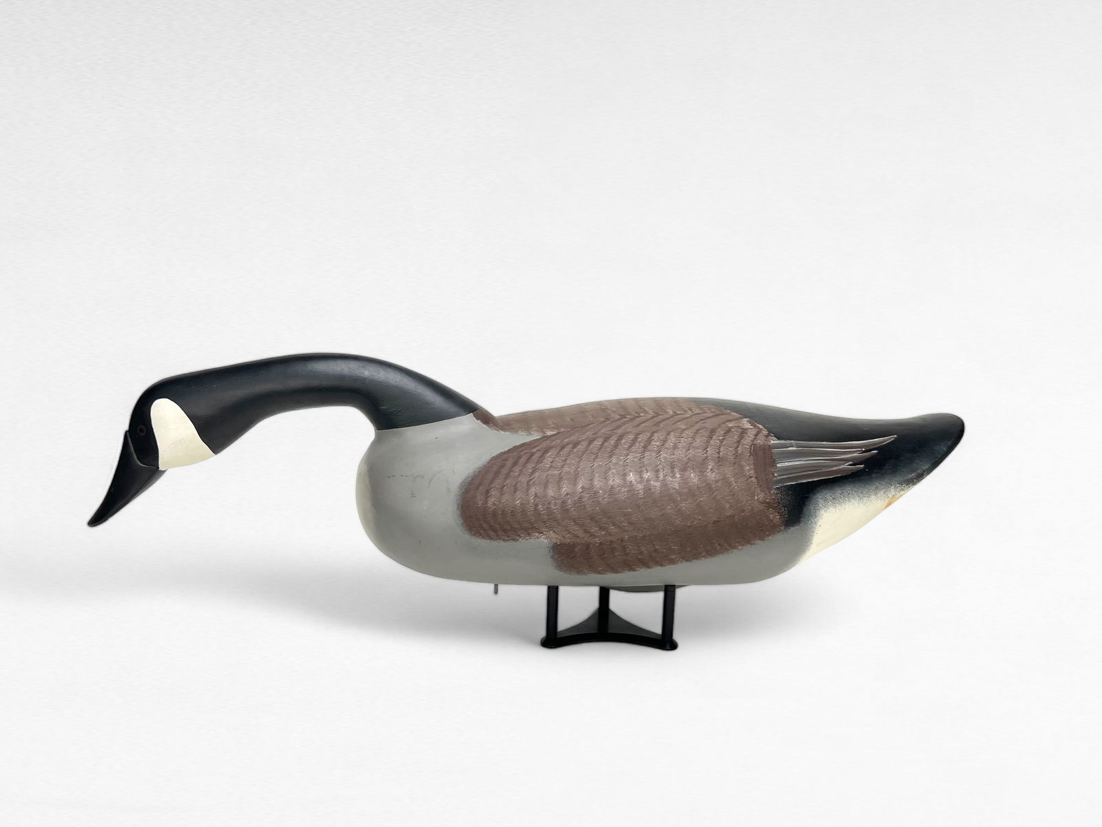 Swimming Canada Goose - Jim Pierce (1 of 4)