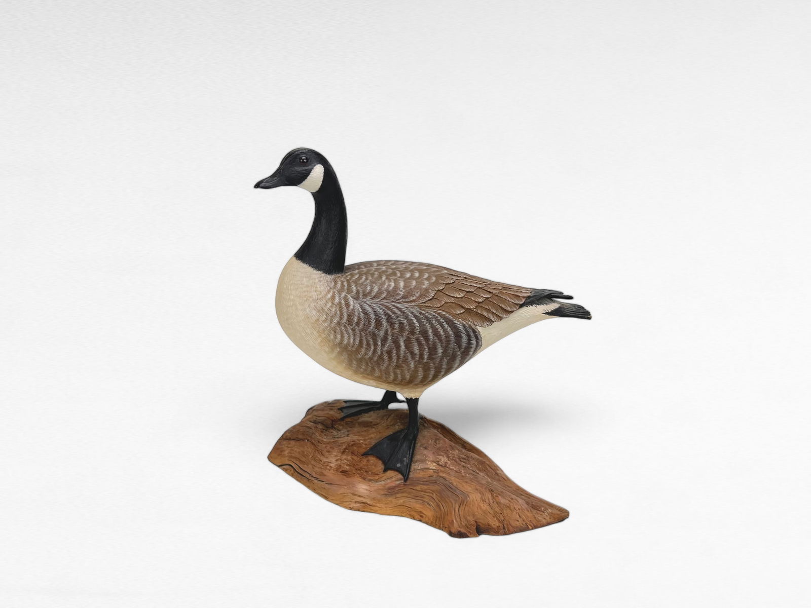 1/4 Size Canada Goose - John Kouchinsky (1 of 5)