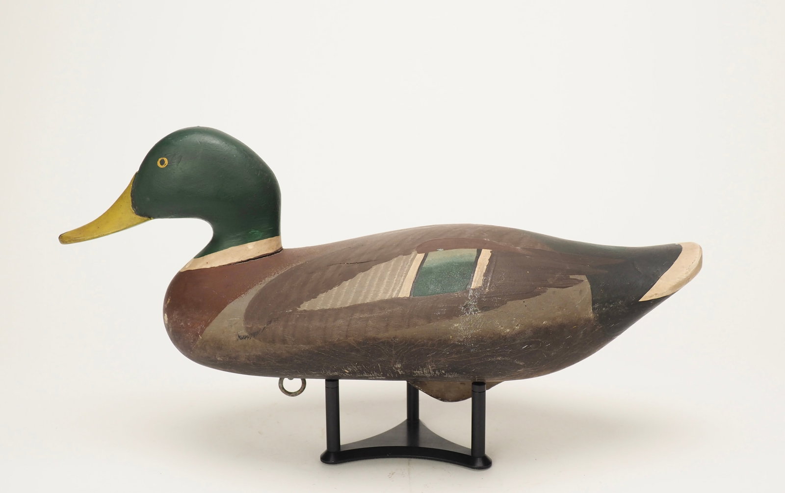 Mallard Drake - Madison Mitchell (1 of 6)