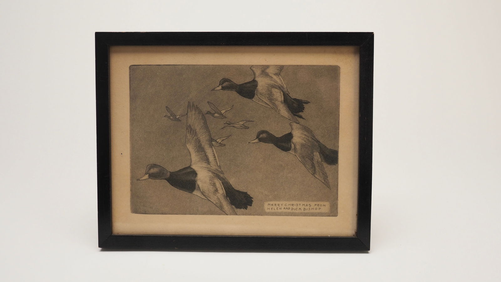 Flying Redheads - Richard Bishop (1 of 2)