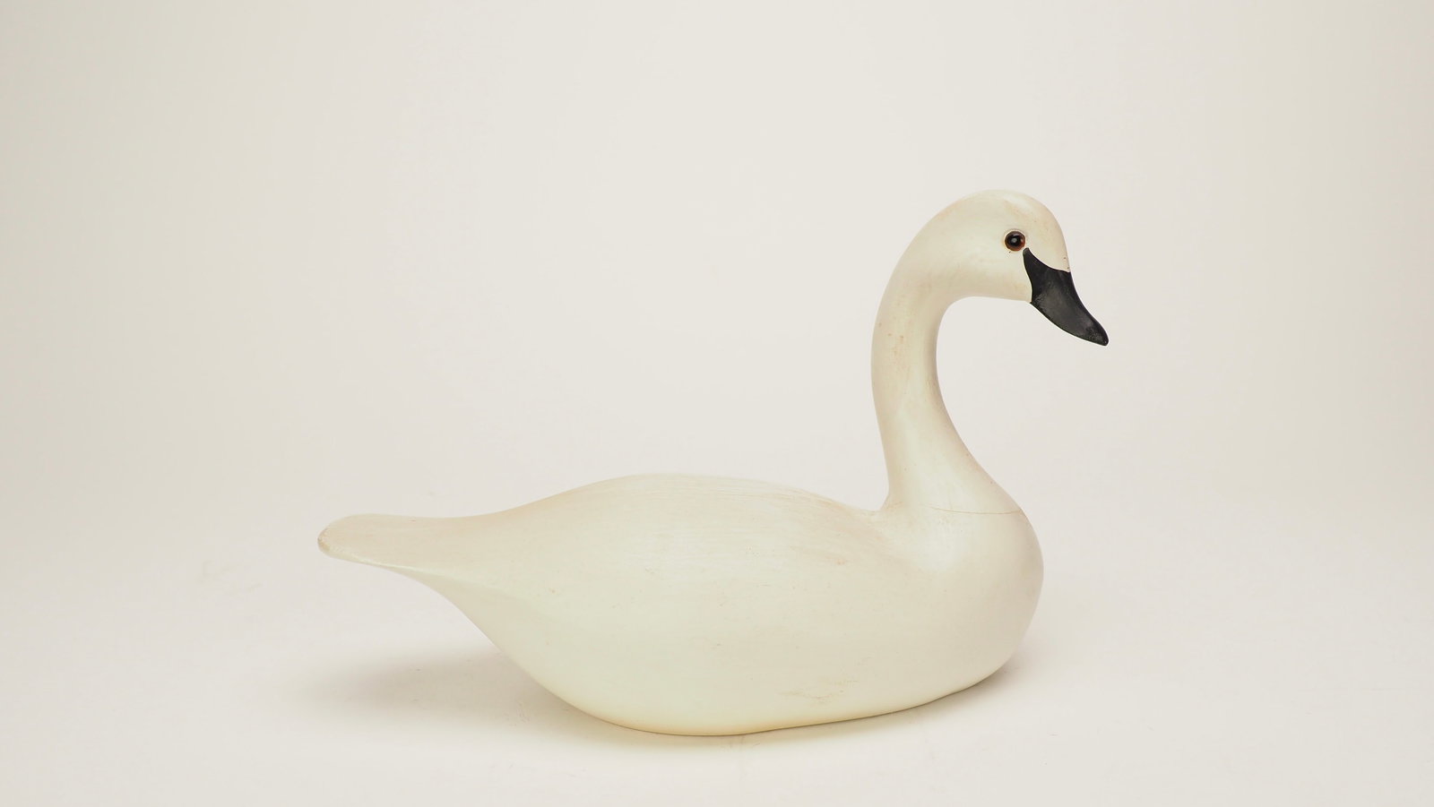 Miniature Swan - Harry V. Shourds III (1 of 6)
