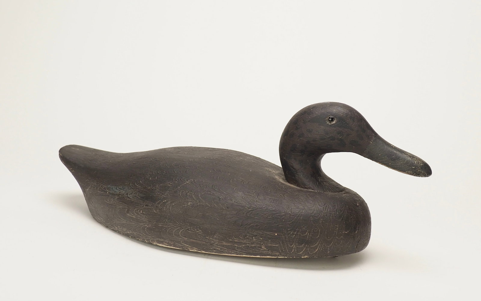 Black Duck Decoy - Brockville, ON (1 of 5)