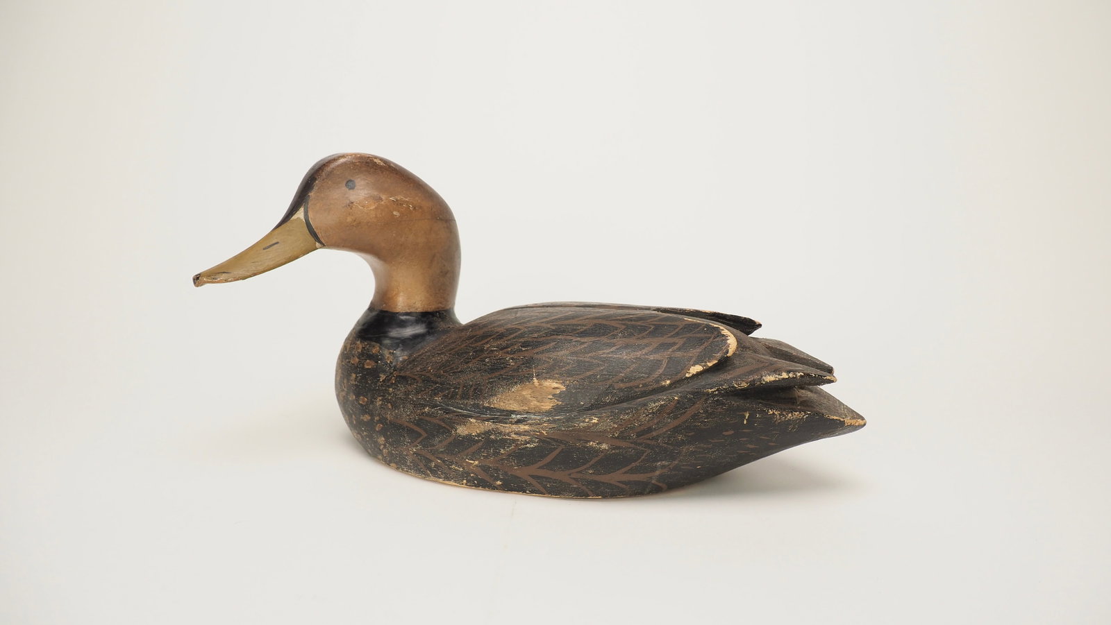 Ward Style Black Duck (1 of 5)