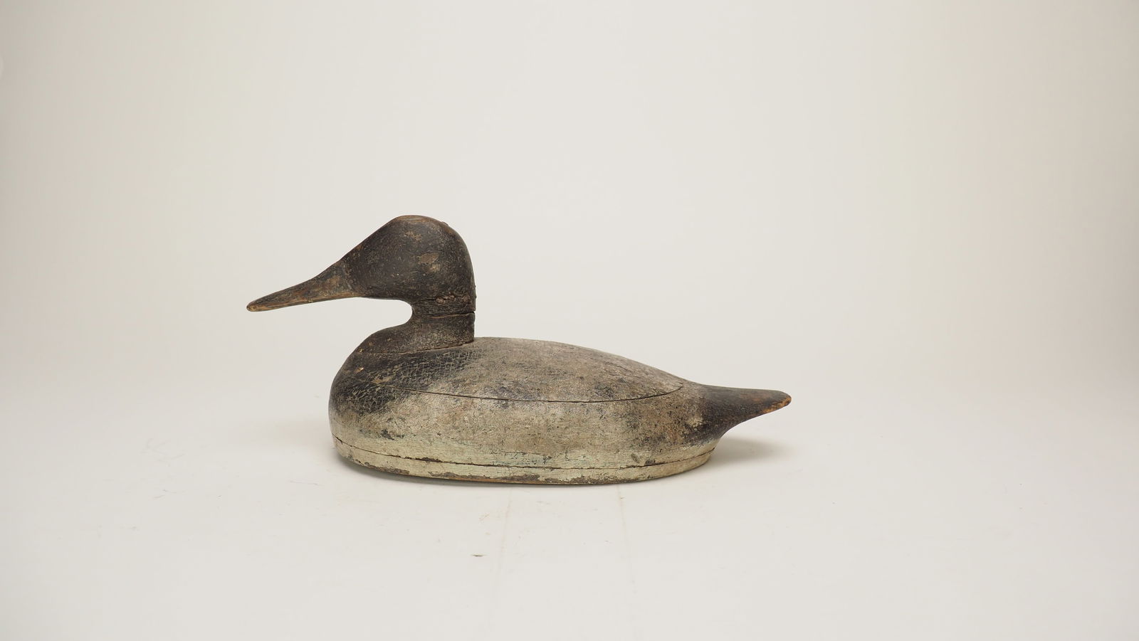 Canvasback Drake - Unknown, WI (1 of 6)