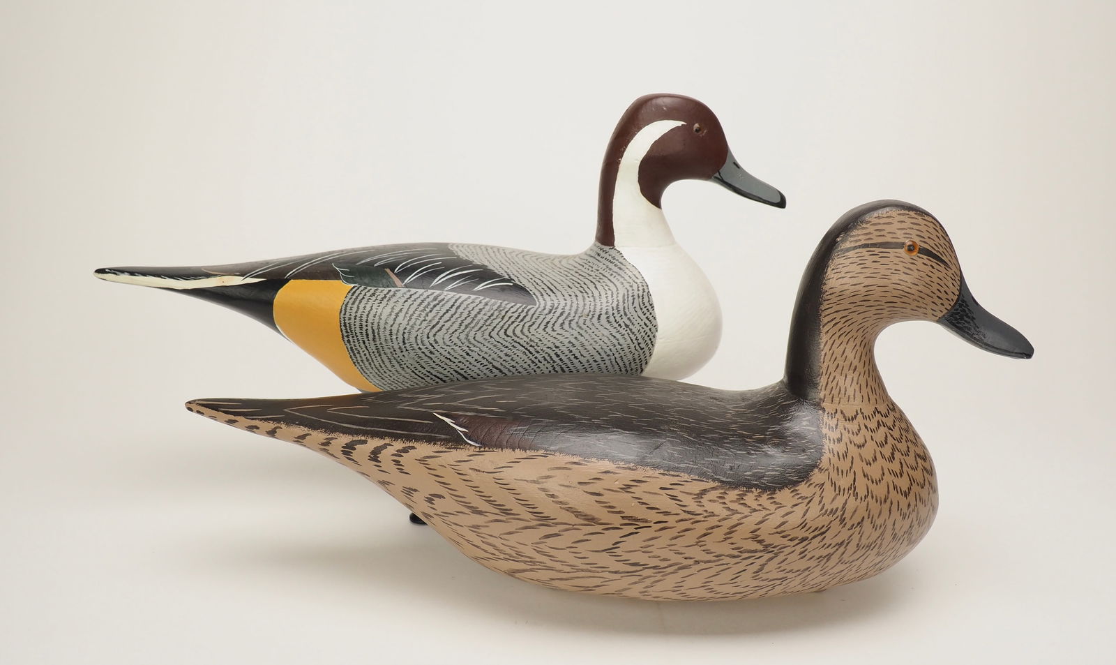 Illinois Pintail Pair (1 of 4)