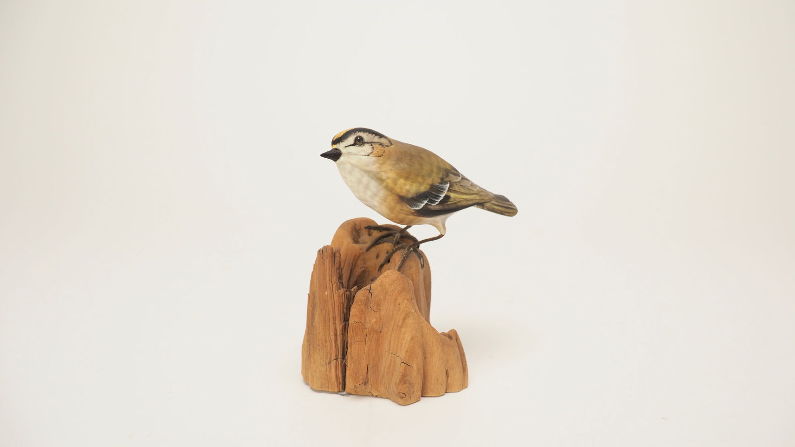 Golden Crown Kinglet - Ernie Muehlmatt (1 of 6)
