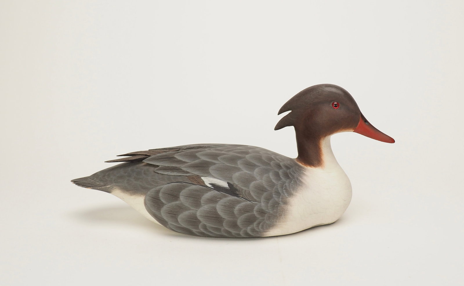 Red-breasted Merganser Hen - Ken Harris by Tom Ferguson (1 of 5)