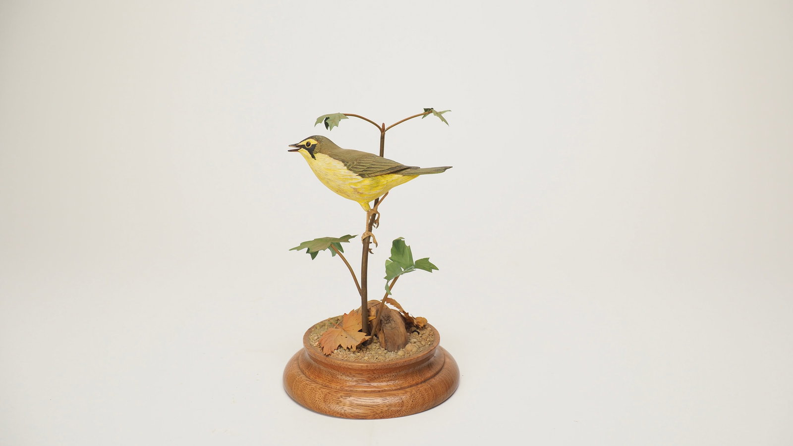 Kentucky Warbler Carving - Manfred Scheel (1 of 5)