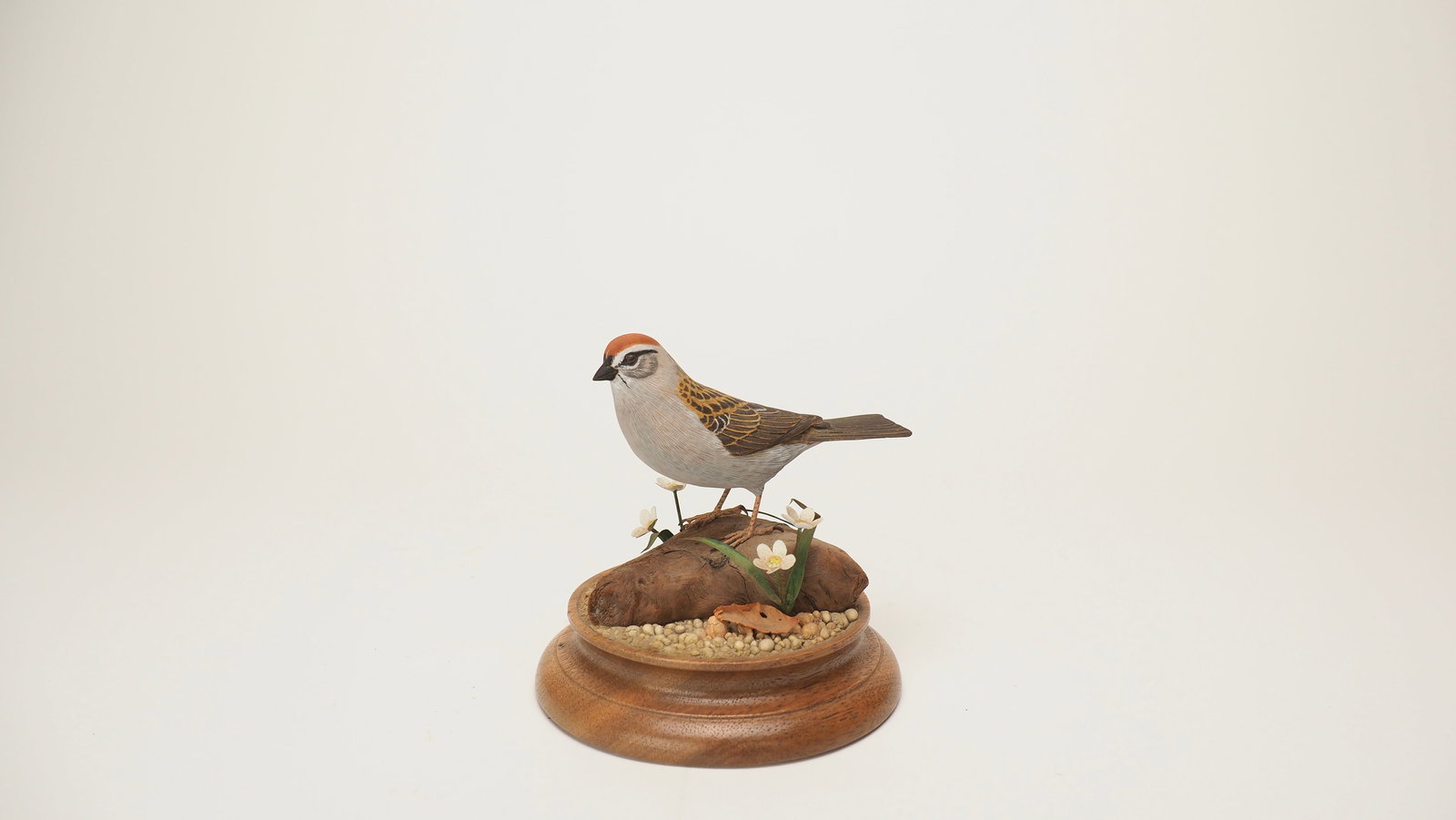 Chipping Sparrow Carving - Manfred Scheel (1 of 5)