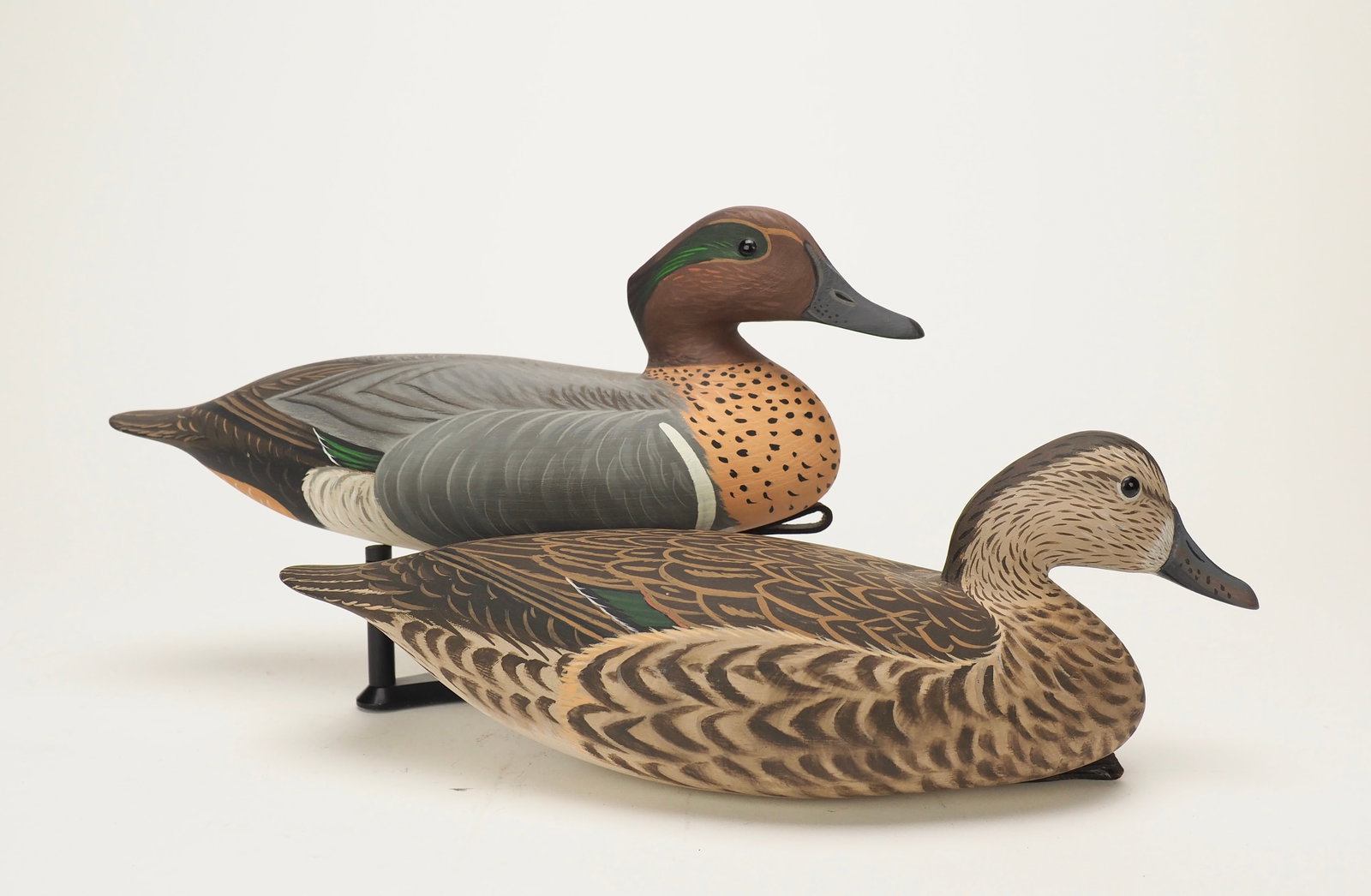 Greenwinged Teal Pair - Anthony Hillman (1 of 4)