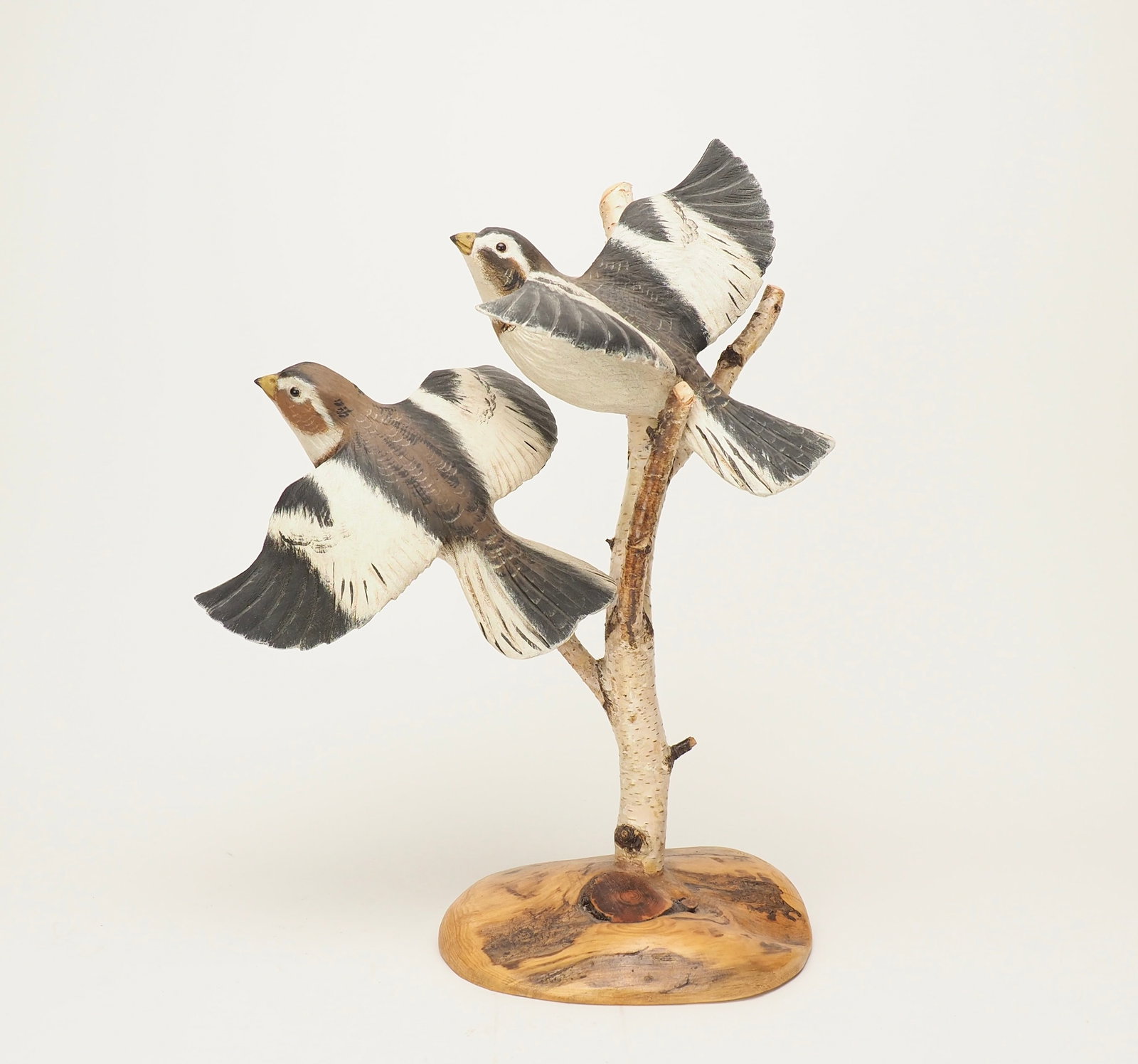 Flying Sparrow Scene - Casey Edwards (1 of 9)